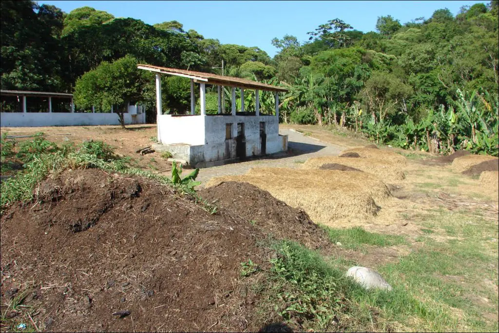 Como curtir esterco e como fazer esterqueiras em pequenas propriedades